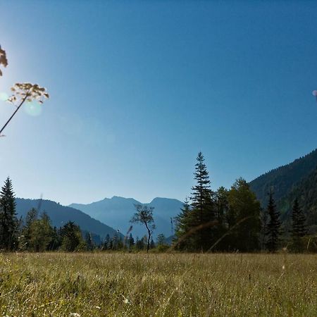 Apartament Alpinlife Ferienhaus Bad Kohlgrub Zewnętrze zdjęcie